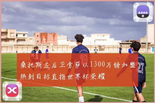 桑托斯左后卫索萨以1300万镑加盟热刺目标直指世界杯荣耀