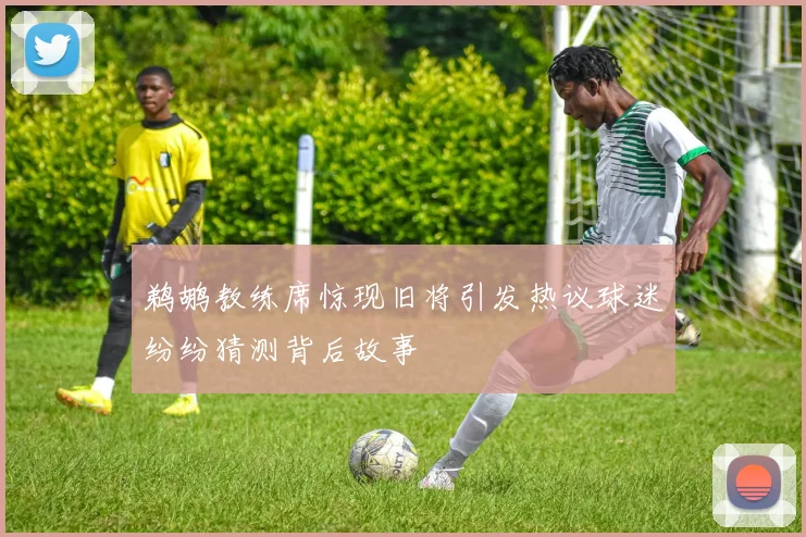鹈鹕教练席惊现旧将引发热议球迷纷纷猜测背后故事