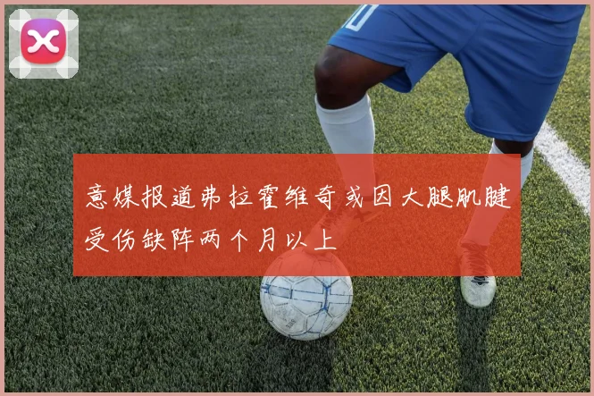 意媒报道弗拉霍维奇或因大腿肌腱受伤缺阵两个月以上