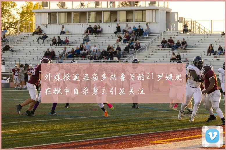 外媒报道盗窃多纳鲁马的21岁嫌犯在狱中自杀身亡引发关注